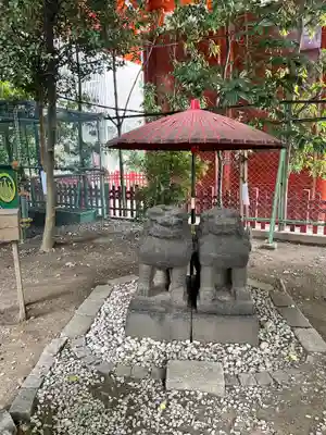 浅草神社の狛犬