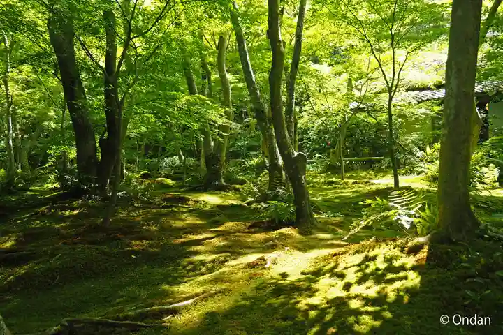 祇王寺(京都府)