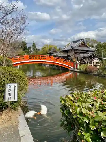 神泉苑の景色