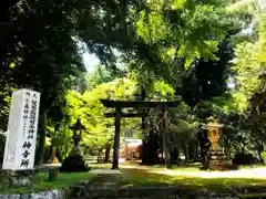 健男霜凝日子神社の鳥居