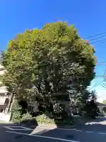 小野神社(東京都)