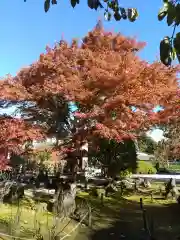 長泉院の建物その他