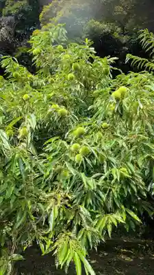 七百餘所神社 の周辺