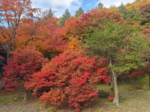 霊松寺(長野県)