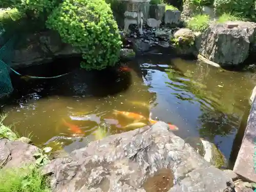 寿昌寺(神奈川県)