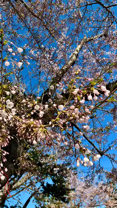 苗穂神社(北海道)