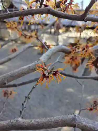 沙沙貴神社(滋賀県)