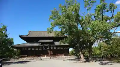 東寺（教王護国寺）(京都府)