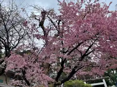 五條天神社(東京都)