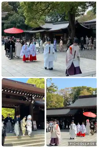 明治神宮(東京都)