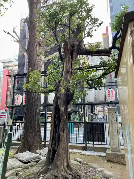 稲荷鬼王神社(東京都)