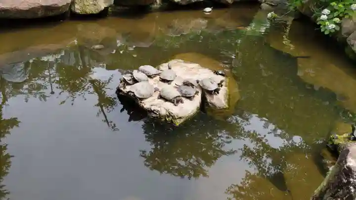 楽法寺(雨引観音)(茨城県)