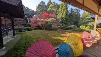 隨心院(随心院)(京都府)