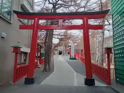冨士山小御嶽神社の鳥居