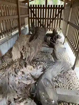 自凝島神社(兵庫県)