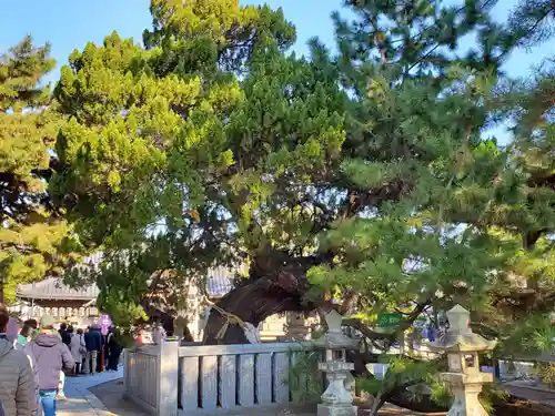 高砂神社の庭園