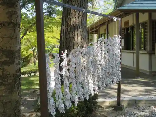 桜ヶ池池宮神社のおみくじ