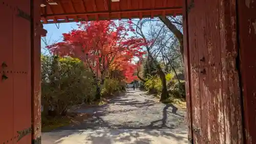 常照寺(京都府)