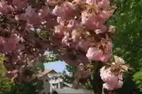 滑川神社 - 仕事と子どもの守り神の鳥居