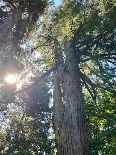 鷲神社(栃木県)