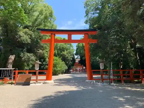 賀茂御祖神社（下鴨神社）の鳥居