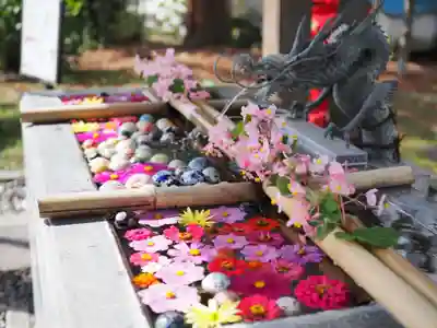 今市報徳二宮神社の手水舎