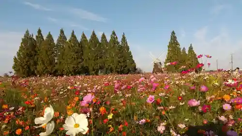 布施弁天 東海寺の周辺