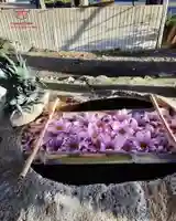 立志神社(滋賀県)