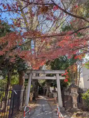 荻窪白山神社(東京都)