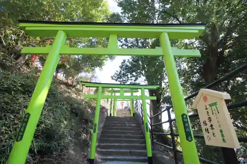 足利織姫神社の鳥居