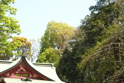 世田谷八幡宮(東京都)