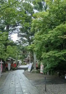 出雲大神宮の鳥居