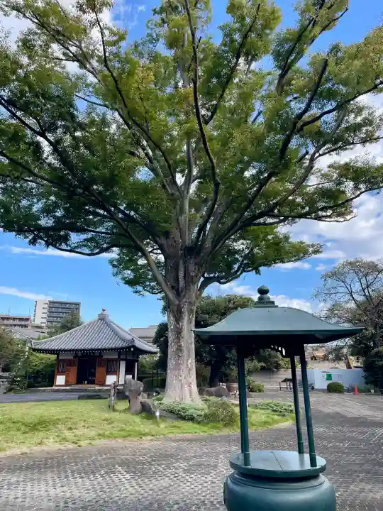 正光寺(東京都)