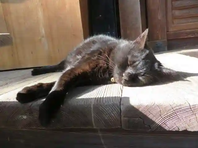 梅宮大社(京都府)