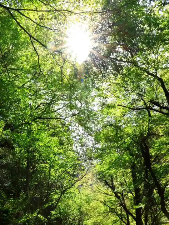 金櫻神社の{uncategorized: "未分類", other: "その他", undefined: "問題あり", building: "その他建物", grave: "お墓", sacred_gate: "鳥居", guardian: "狛犬", statue: "像", buddha: "仏像", history: "歴史", nature: "自然", garden: "庭園", animal: "動物", pagoda: "塔", temizu: "手水舎", mountain_gate: "山門・神門", sanctuary: "本殿・本堂", subordinate: "末社・摂社", art: "芸術", scenery: "景色", jizo: "地蔵", ema: "絵馬", goshuin: "御朱印", omikuji: "おみくじ", items: "授与品その他", amulet: "お守り", goshuincho: "御朱印帳", eats: "食事", festival: "お祭り", votive_dance: "神楽", shichigosan: "七五三参", wedding: "結婚式", experience: "体験その他", initially: "初詣", around: "周辺", anti_infection: "感染症対策"}