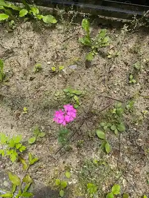 普賢寺(福島県)