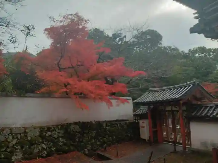 久安寺(大阪府)