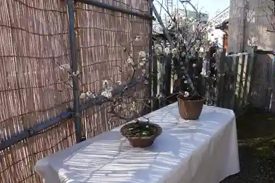 菅原天満宮（菅原神社）(奈良県)