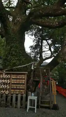 熊野那智大社(和歌山県)