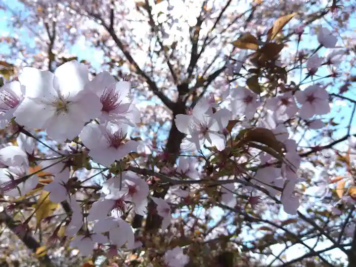 宝泉寺(京都府)