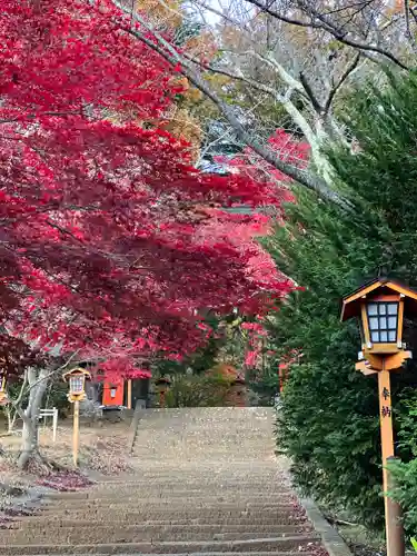 新倉富士浅間神社の自然