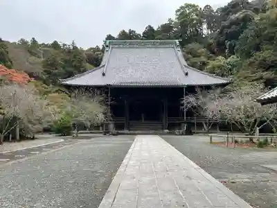 妙本寺(神奈川県)