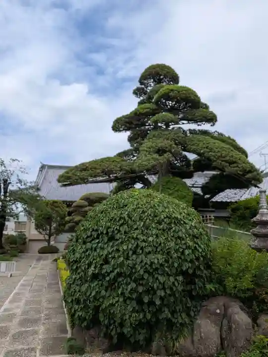 松應寺(東京都)