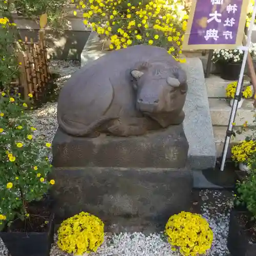 牛天神北野神社の狛犬