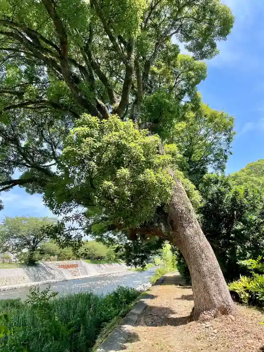 潮音寺(静岡県)