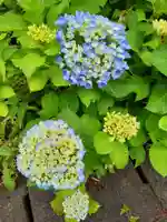 円満寺観音堂(岩手県)