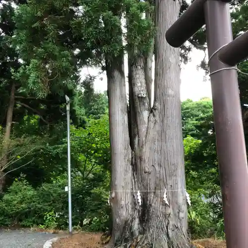 福島大神宮(北海道)