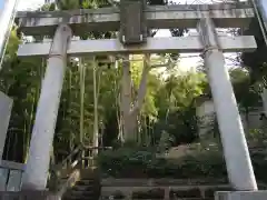 勝田杉山神社(神奈川県)