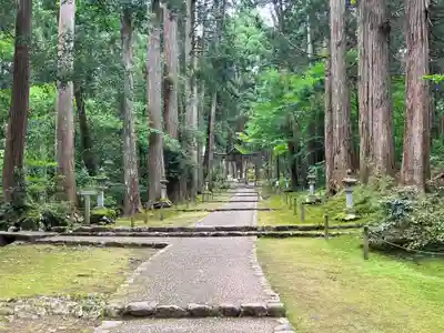 平泉寺白山神社(福井県)