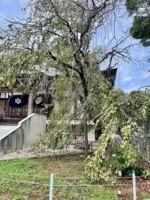 国分寺（相模國分寺）(神奈川県)